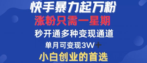 快手暴力起万粉，涨粉只需一星期，多种变现模式，直接秒开万合，单月变现过W【揭秘】-86资源库