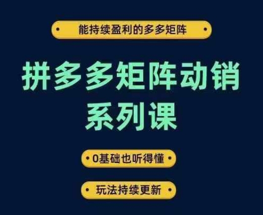 拼多多矩阵动销系列课，能持续盈利的多多矩阵，0基础也听得懂，玩法持续更新-86资源库