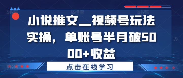小说推文—视频号玩法实操，单账号半月破5000+收益-86资源库