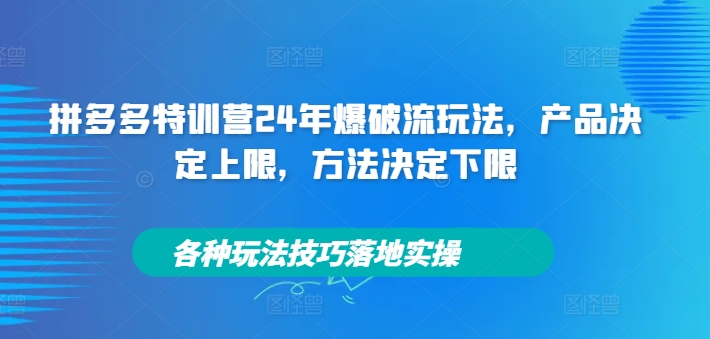 拼多多特训营24年爆破流玩法，产品决定上限，方法决定下限，各种玩法技巧落地实操-86资源库