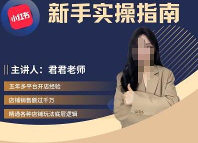 君君-小红书电商从入门到精通，新手实操指南-86资源库