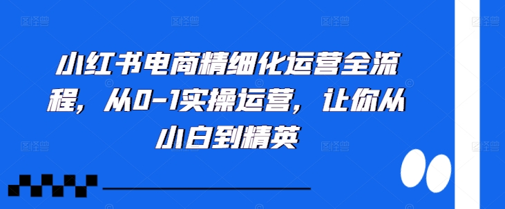 小红书电商精细化运营全流程，从0-1实操运营，让你从小白到精英-86资源库