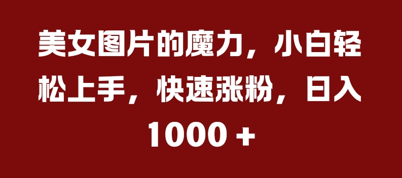美女图片的魔力，小白轻松上手，快速涨粉，日入几张【揭秘】-86资源库