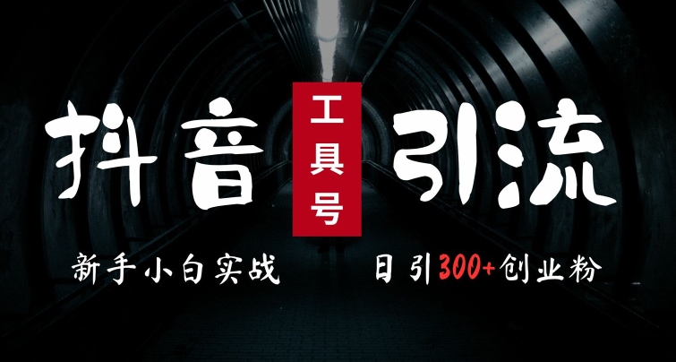 2024最新抖音工具号引流玩法，高效日引300+创业粉，当天变现5k，小白也可成为实战高手-86资源库