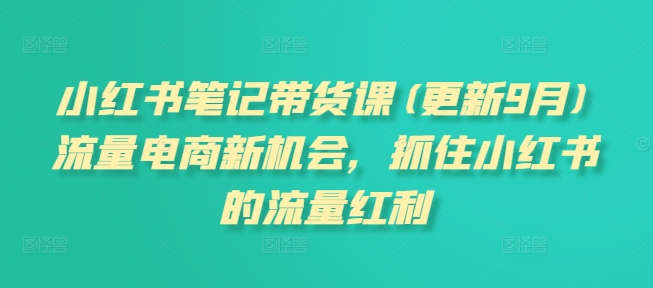 小红书笔记带货课(更新11月)流量电商新机会，抓住小红书的流量红利-86资源库