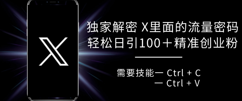 独家解密 X 里面的流量密码，复制粘贴轻松日引100+-86资源库