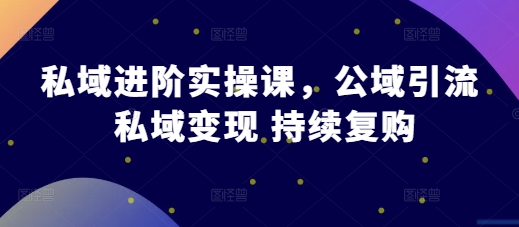 私域进阶实操课，公域引流 私域变现 持续复购-86资源库