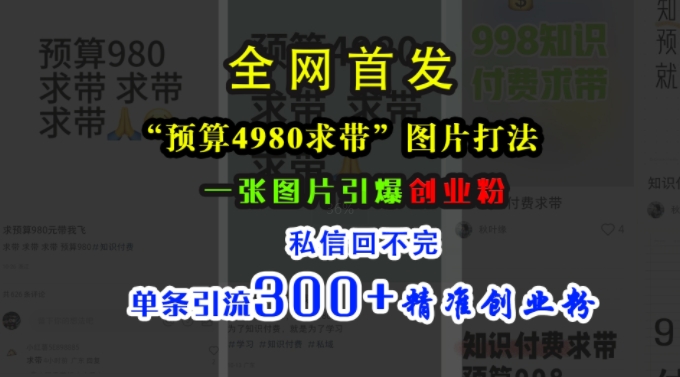 小红书“预算4980带我飞”图片打法，一张图片引爆创业粉，私信回不完，单条引流300+精准创业粉-86资源库