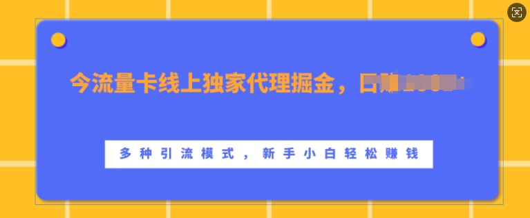 流量卡线上独家代理掘金，日入1k+ ，多种引流模式，新手小白轻松上手【揭秘】-86资源库
