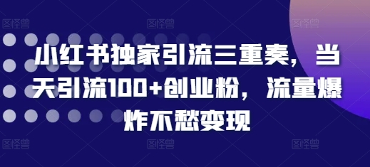 小红书独家引流三重奏，当天引流100+创业粉，流量爆炸不愁变现【揭秘】-86资源库