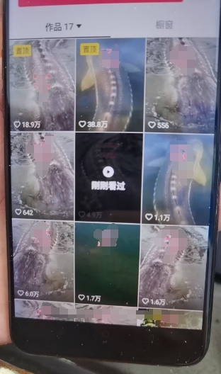 外面卖399的国学佛像原创暴力起号技术，快速起号，7天可达到一个万粉号-86资源库