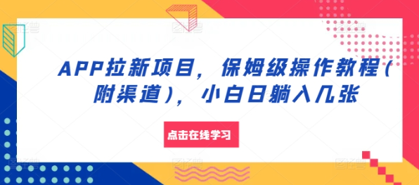 APP拉新项目，保姆级操作教程(附渠道)，小白日躺入几张【揭秘】-86资源库