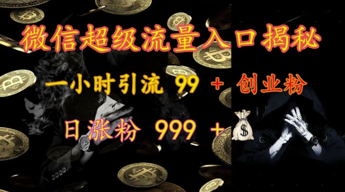 微信超级流量入口揭秘：一小时引流 99 + 创业粉，日涨粉 999 +-86资源库