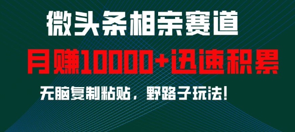 微头条相亲赛道，迅速积累，无脑复制粘贴，野路子玩法，月入1w-86资源库