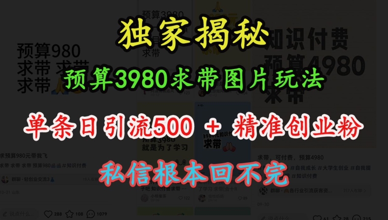 预算3980求带 图片玩法，单条日引流500+精准创业粉，私信根本回不完-86资源库